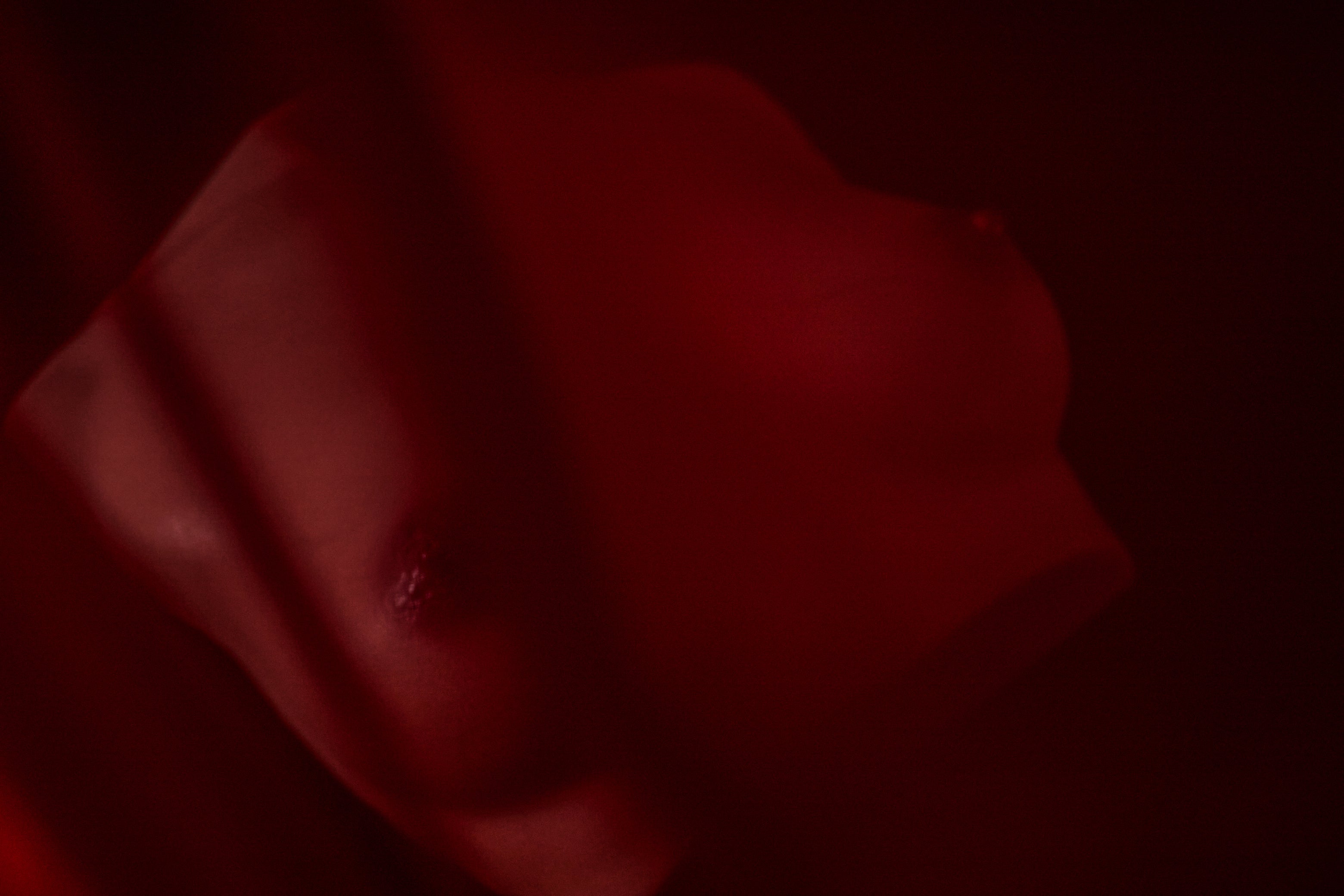 Climax Doll Mammary Intercourse Silicone Sex Toy Si-B-61, Black